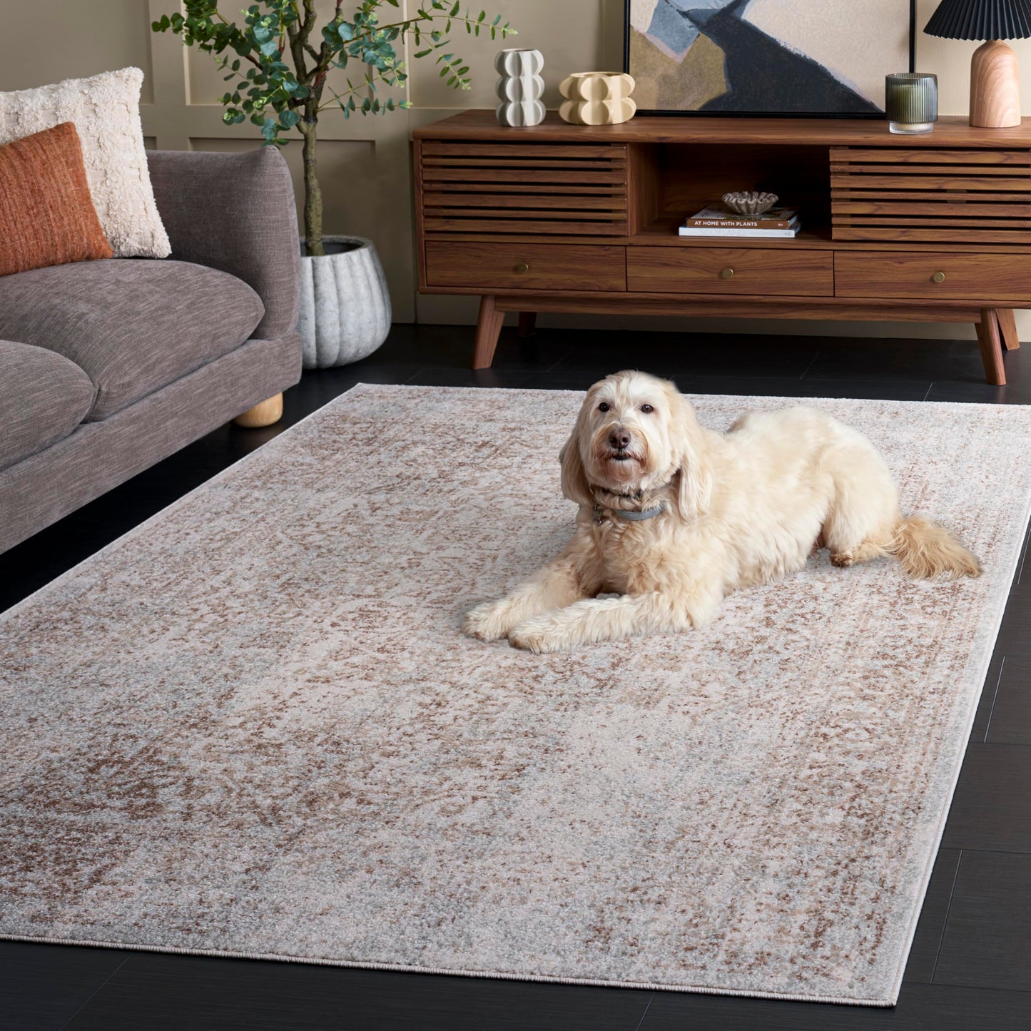 SAFAVIEH Area Rug 3x5 - Evoke Collection - Ivory & Taupe, Distressed Design, Non-Shedding & Easy to Clean, Ideal for Foyer, Bedroom, Accent Space (EVK256E)
