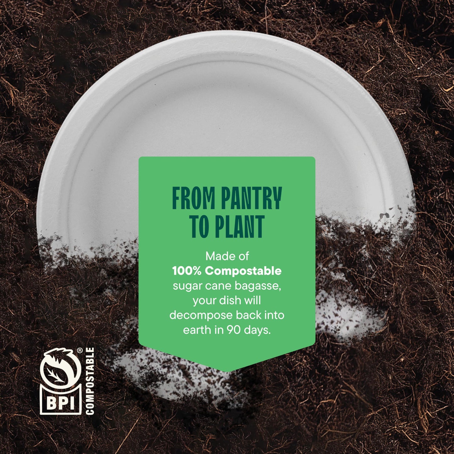 100% Compostable Paper Plates 9 Inch [500 Count] Heavy-Duty Dinner Plates - White Bagasse - Eco-Friendly Disposable Biodegradable Sugarcane Plates - [Bulk Case 4 x 125 Pack] - (BPI Certified)