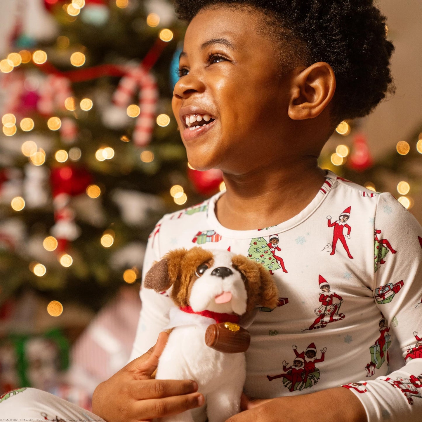 The Elf on the Shelf - Elf Pets: A St. Bernard Tradition - Series 3, White and Brown
