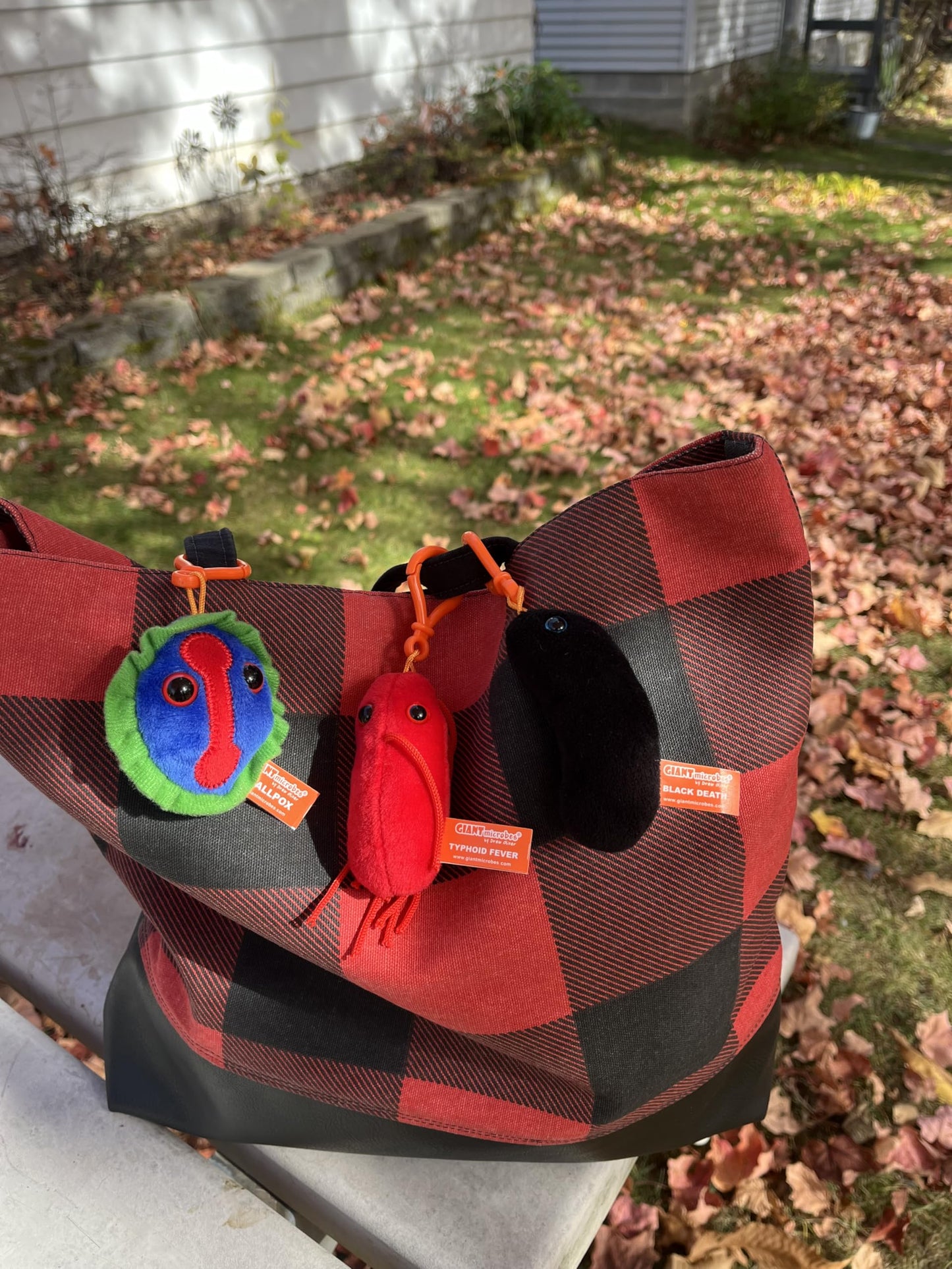 GIANTmicrobes Themed Gift Box - Plagues from History