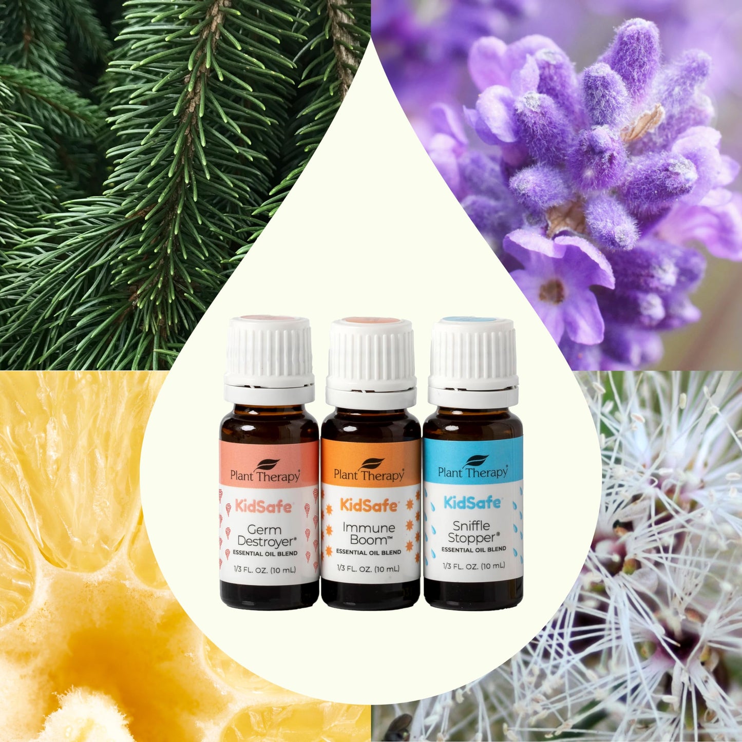 Plant Therapy KidSafe Feelin' Good Essential Oil Blend Set, Includes: Germ Destroyer, Immune Boom, Sniffle Stopper 100% Pure, Undiluted, Natural Aromatherapy 10 mL (1/3 oz)
