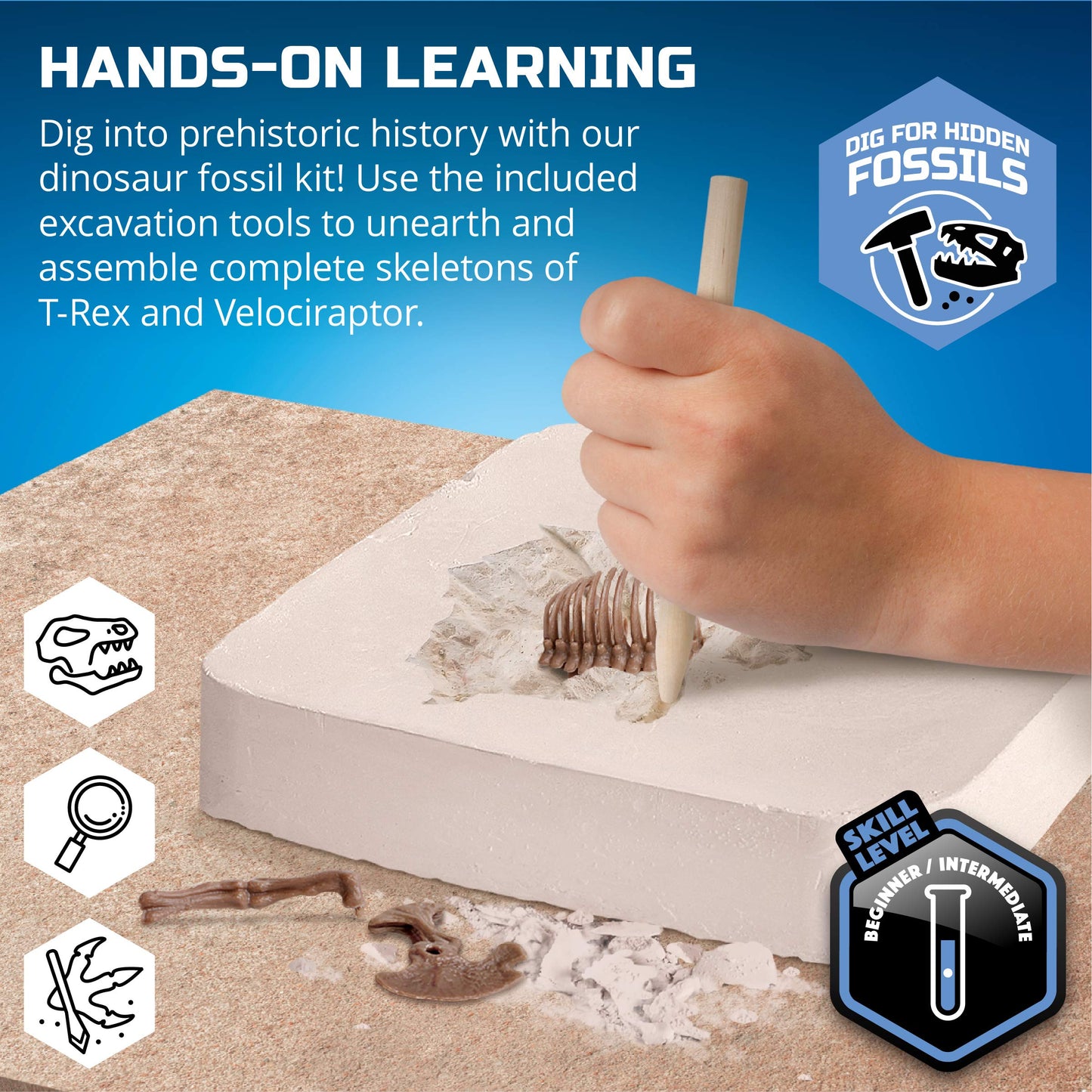 Discovery #MINDBLOWN Dinosaur Fossil Dig Excavation Kit, 15-Piece T-Rex & 10-Piece Velociraptor, 3D Skeleton Puzzle Display Models, Includes Tools & Safety Glasses, Jurassic Dino Toy for Kids