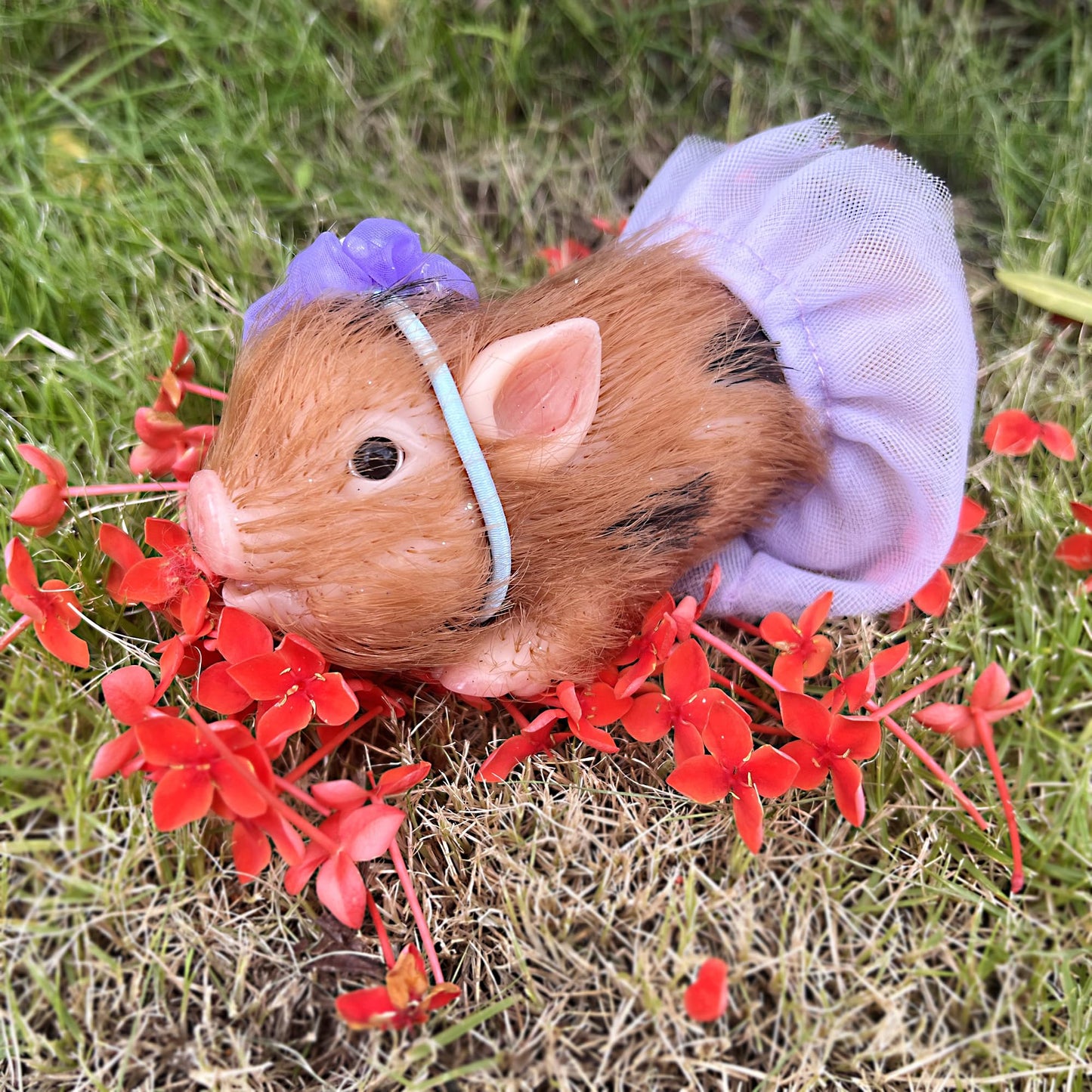 OtardDolls Reborn Pig Dolls, 5 Inch Realistic Newborn Full Silicone Lifelike Reborn Pig Dolls Soft & Stylish Real Life Silicone Animals Realistic Pig Dolls with Toy Accessories