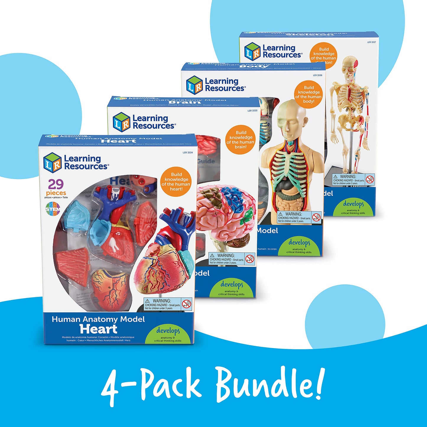 Learning Resources Anatomy Models Bundle Set, Brain, Body, Heart, Skeleton, Classroom Demonstration Tools, Teacher Accessories, Grades 8+, Ages 3+