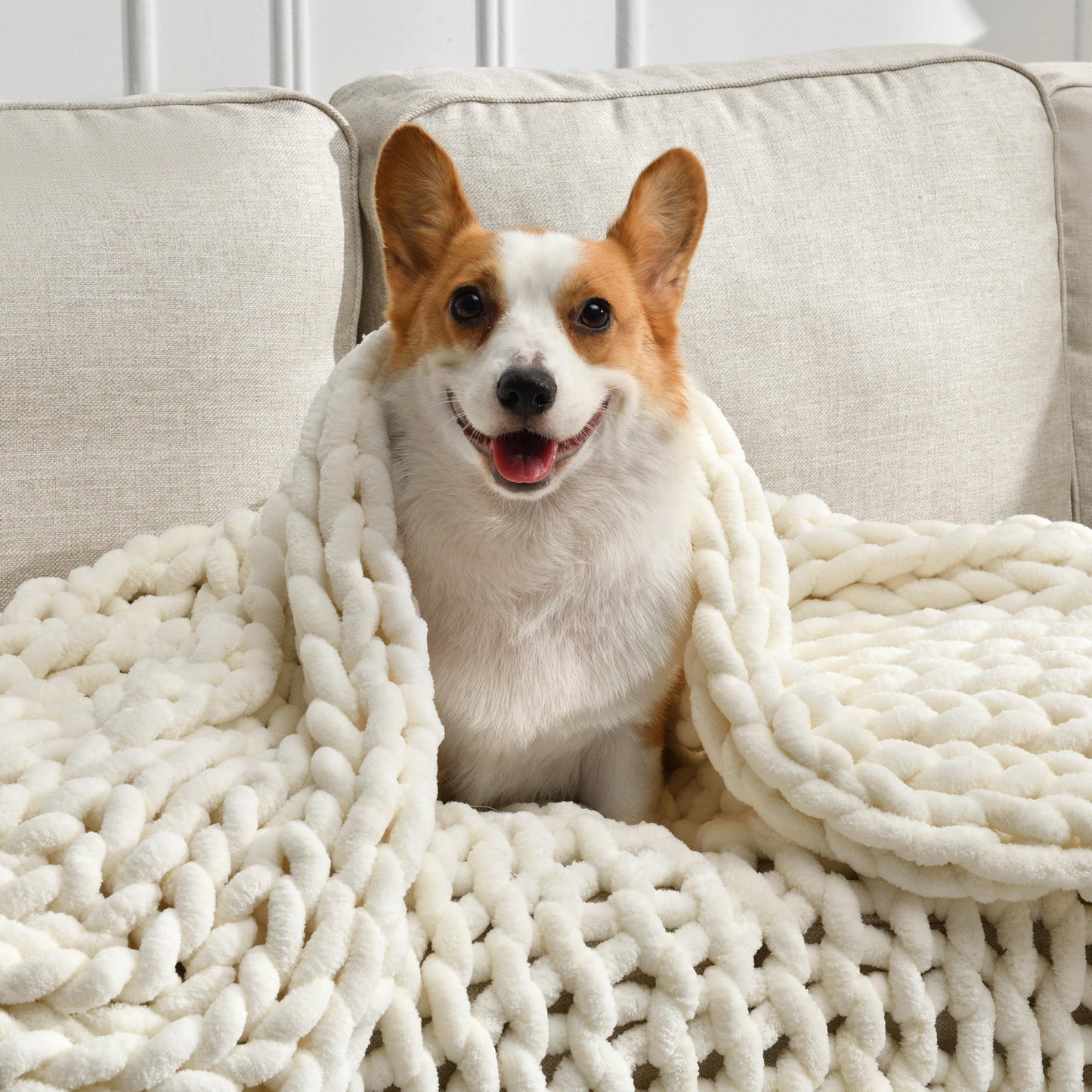 Feabuccy Soft Chunky Knit Blanket, 50X60 In Handmade Thick Chenille Yarn Throw without Shedding & Raveling, Aesthetic & Cozy Home Decor with Couch Sofa Bed, Gift Pack, Ivory White