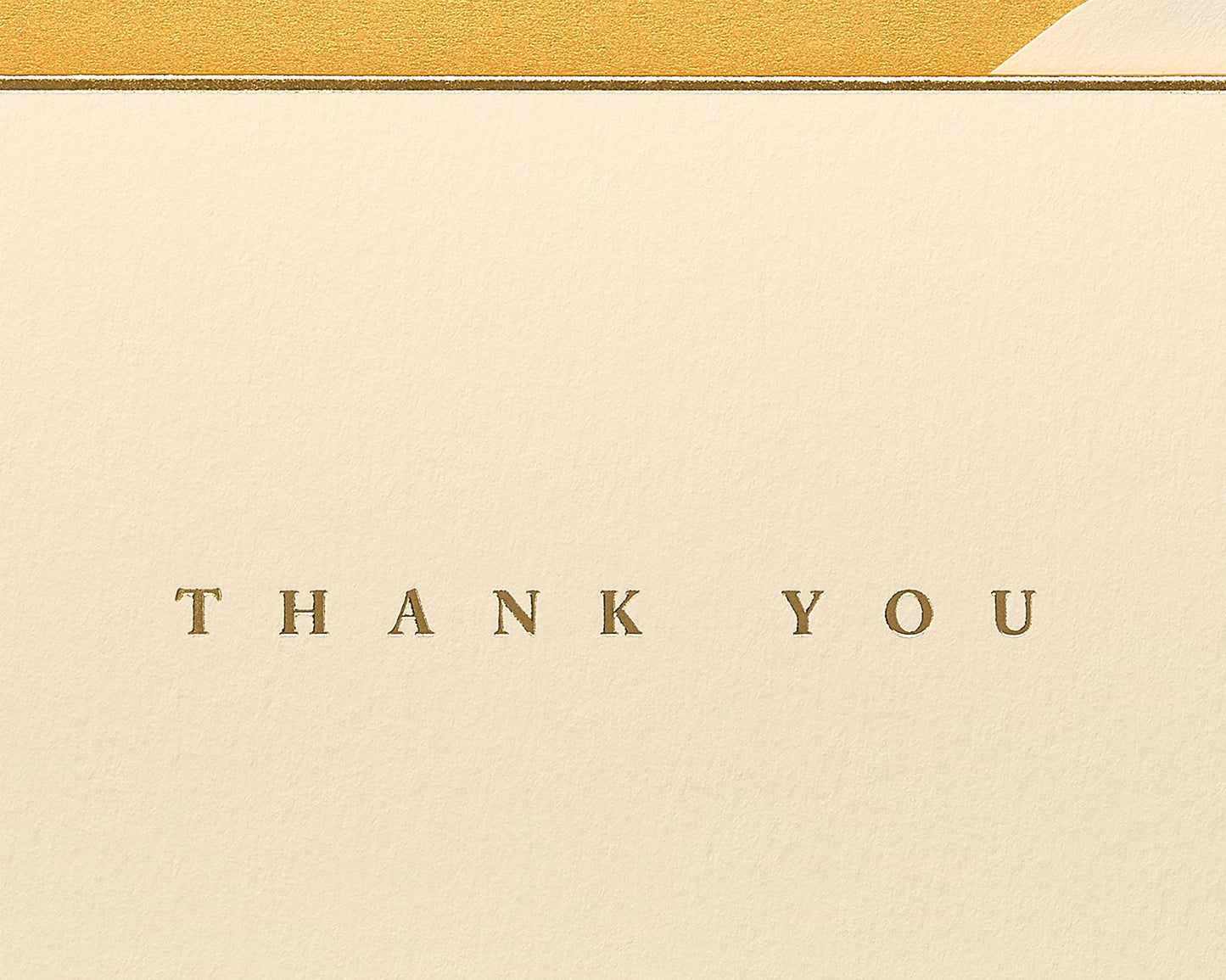 Papyrus Thank You Cards with Envelopes, Gold Border (16-Count)