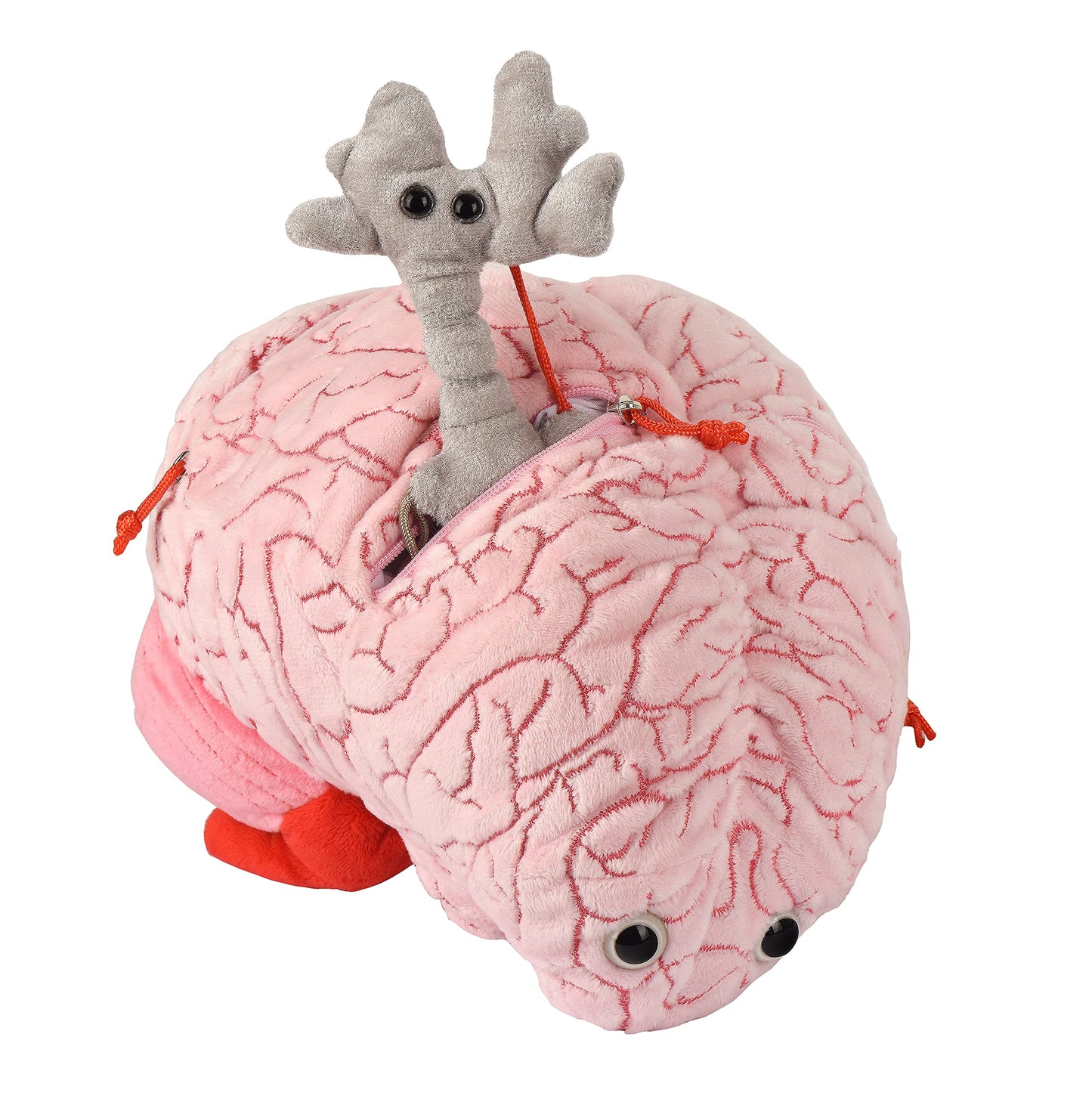 GIANTmicrobes Deluxe 9.5" Brain with Neuron Plush, Brain Toy, Brain Gifts for Neurologist, Brain Surgery Recovery Gifts, Neurology Gifts, Neuroscience Gifts, Brain Injury Gift, Biology Gift