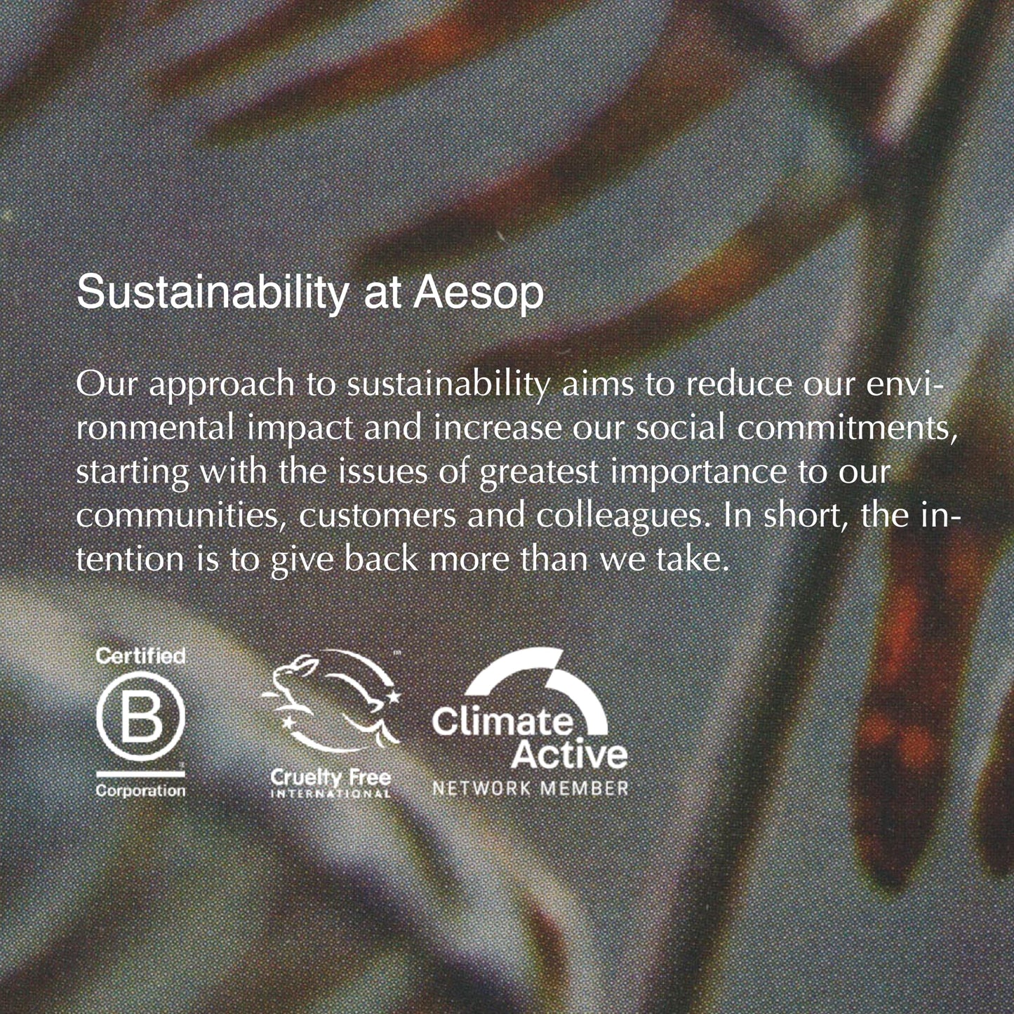 Aesop Herbal Deodorant Spray | Zinc Ricinoleate and a Blend of Essential Oils | Without Aluminium Salts | 1.7 oz