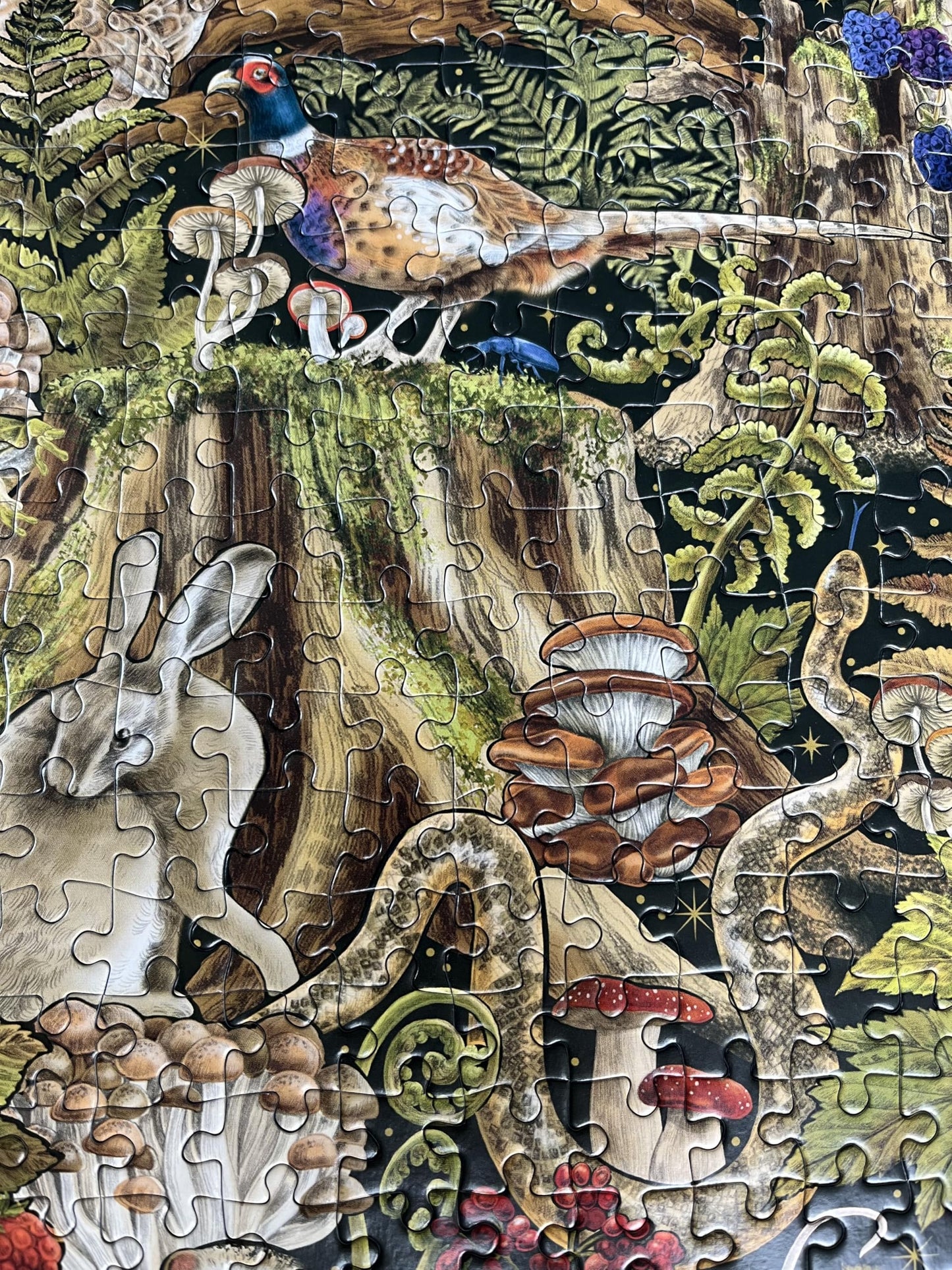 Gibsons Witchcraft 1000 Piece Jigsaw Puzzle for Adults – Magical Mystical Fantasy Scene with Potions & Spellbooks The Art File Collection – Premium Sustainable Puzzle Made in America
